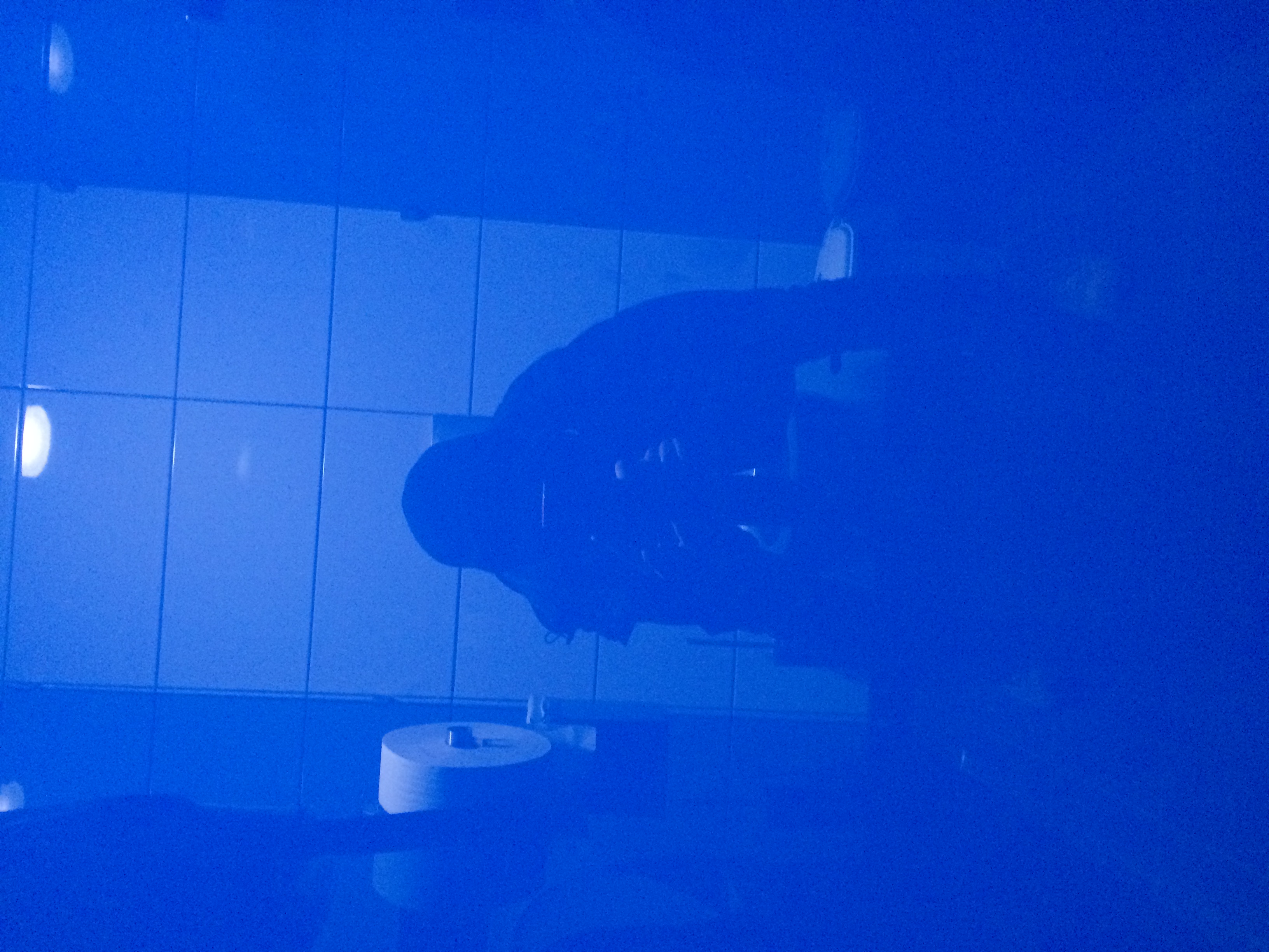 and-Toilette_B