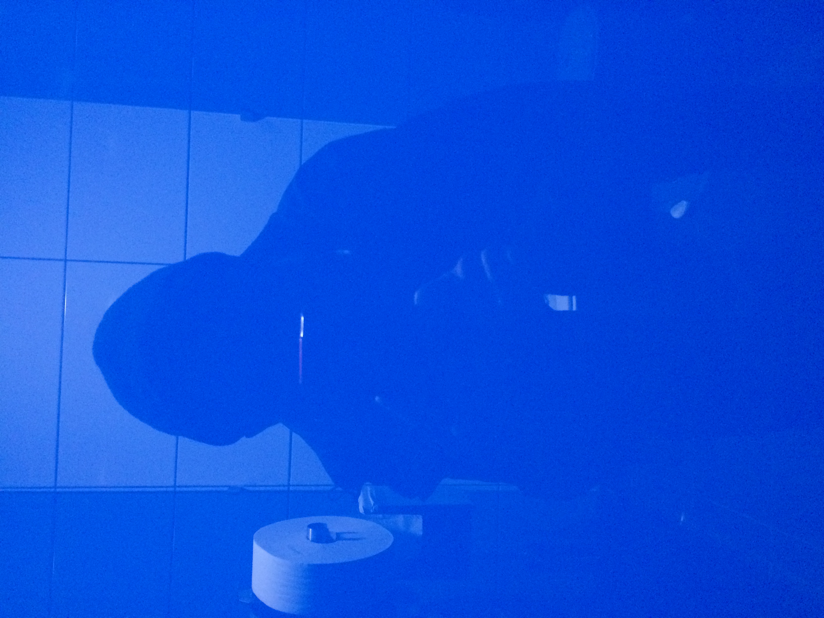 and-Toilette_B