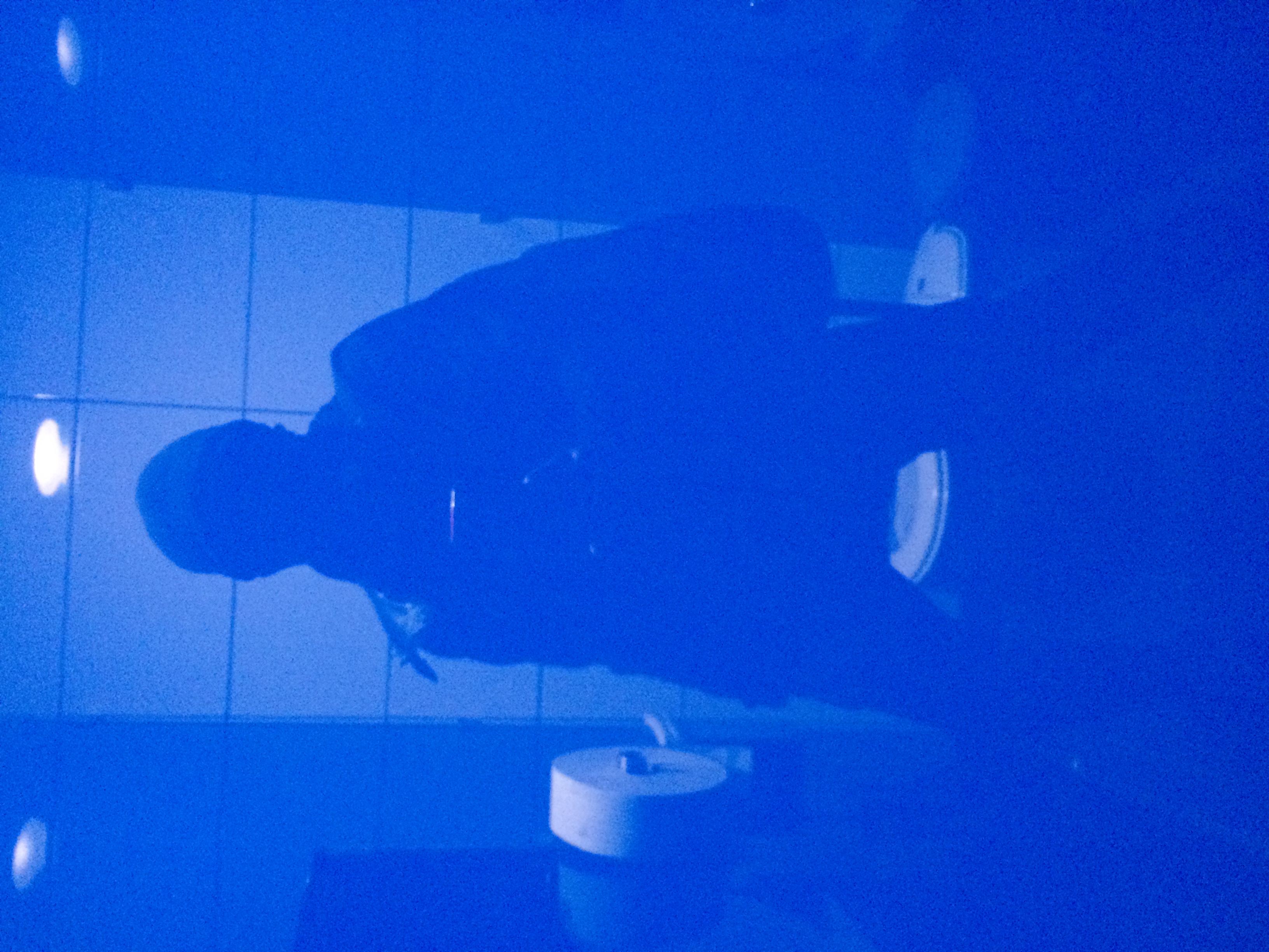 and-Toilette_B