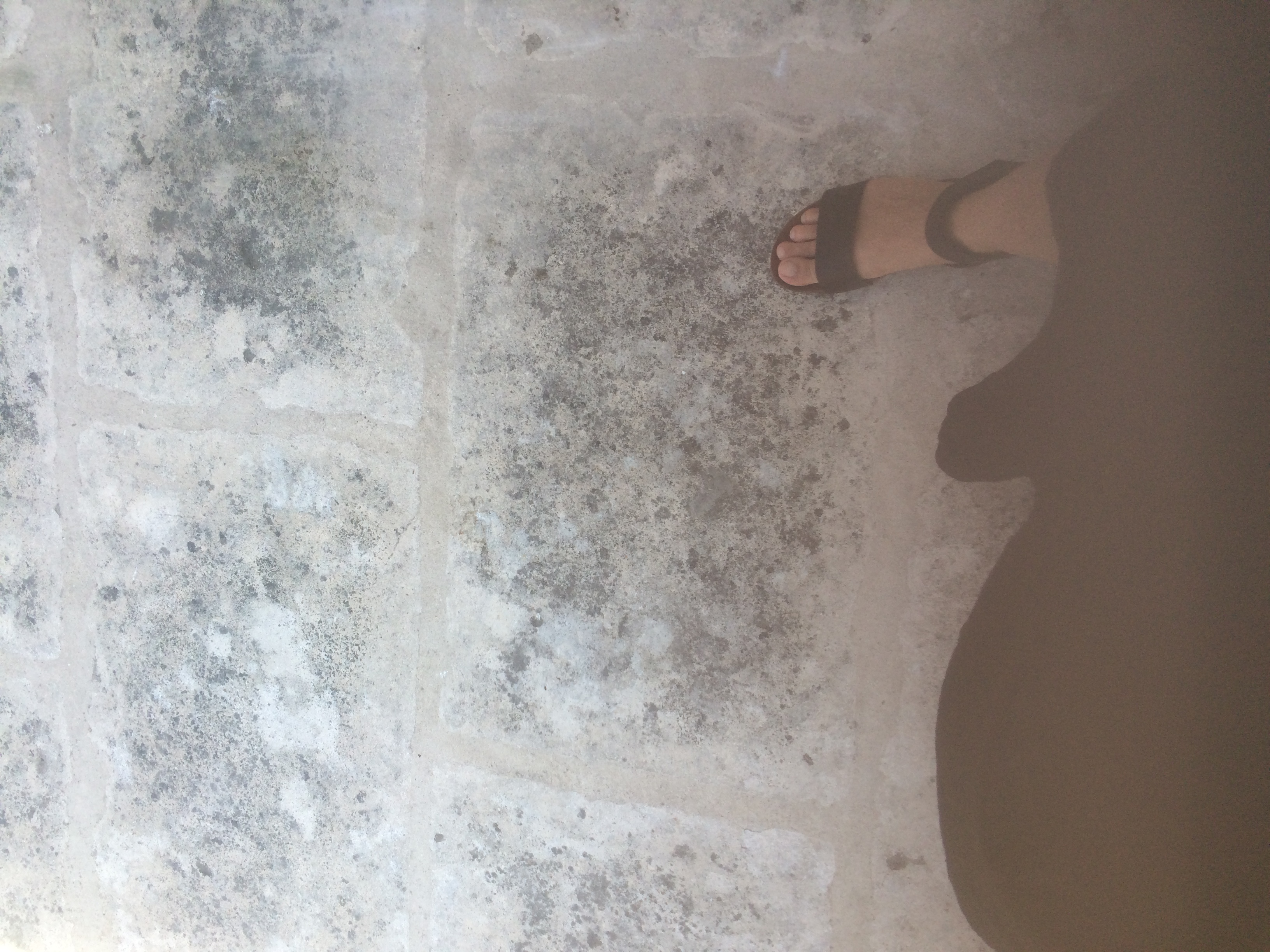 and-Le pied de Van Gogh