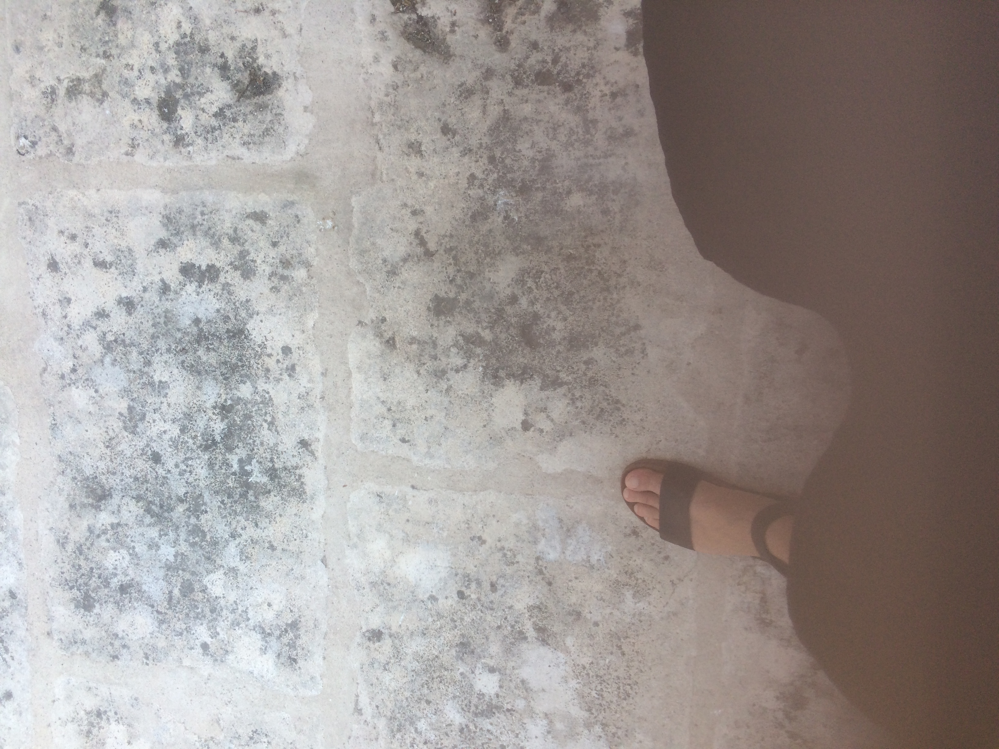 and-Le pied de Van Gogh