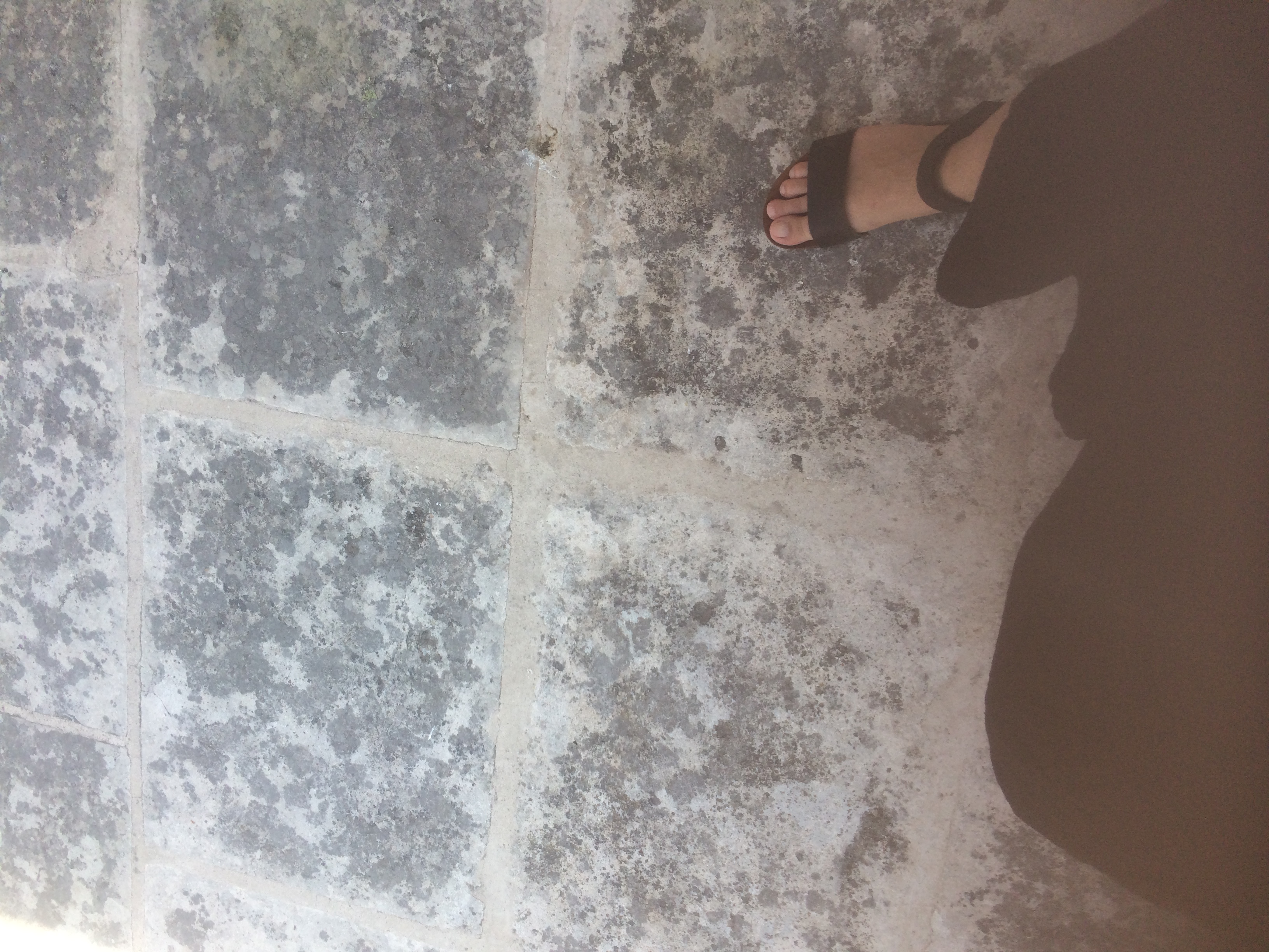 and-Le pied de Van Gogh