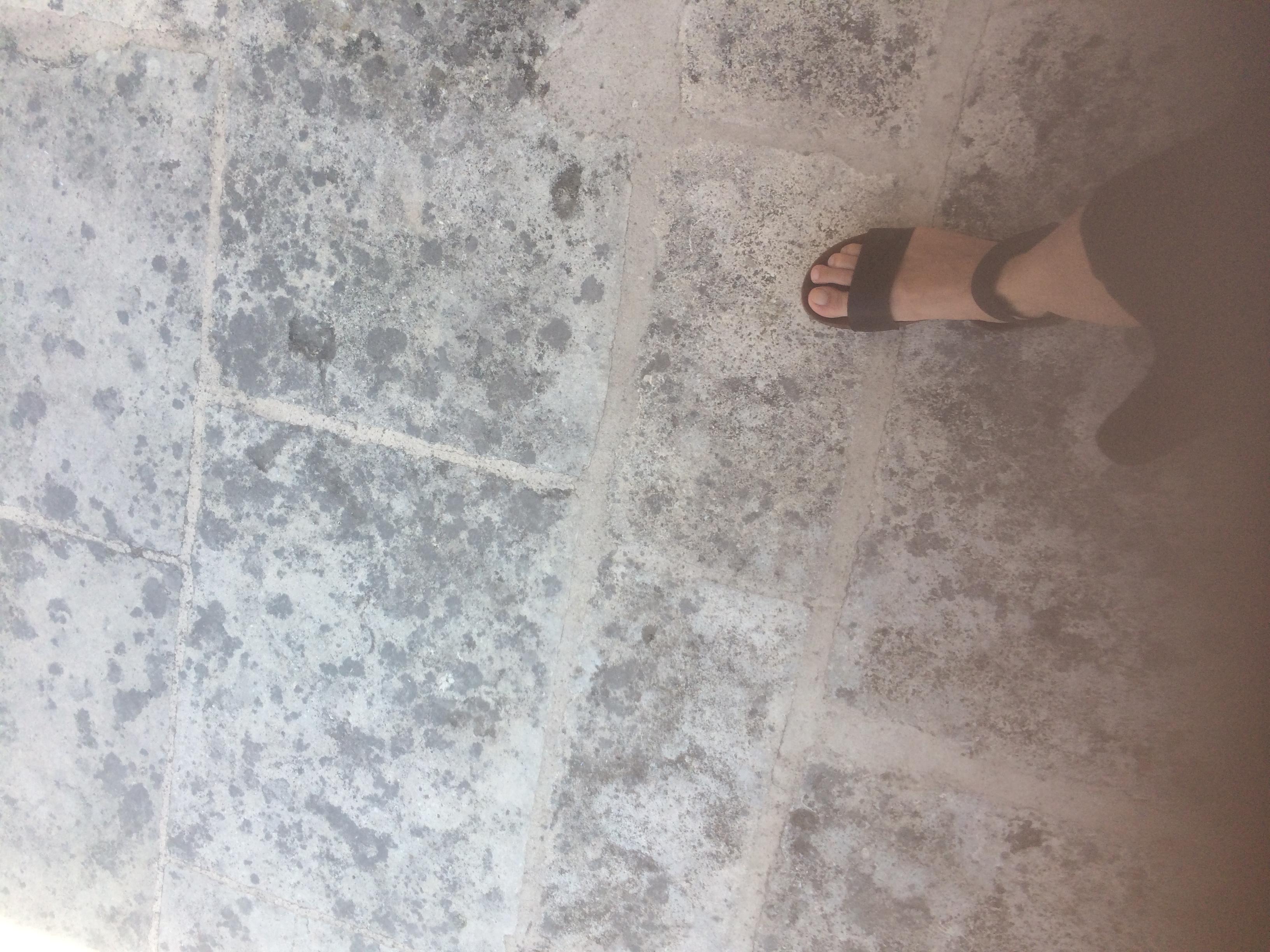 and-Le pied de Van Gogh