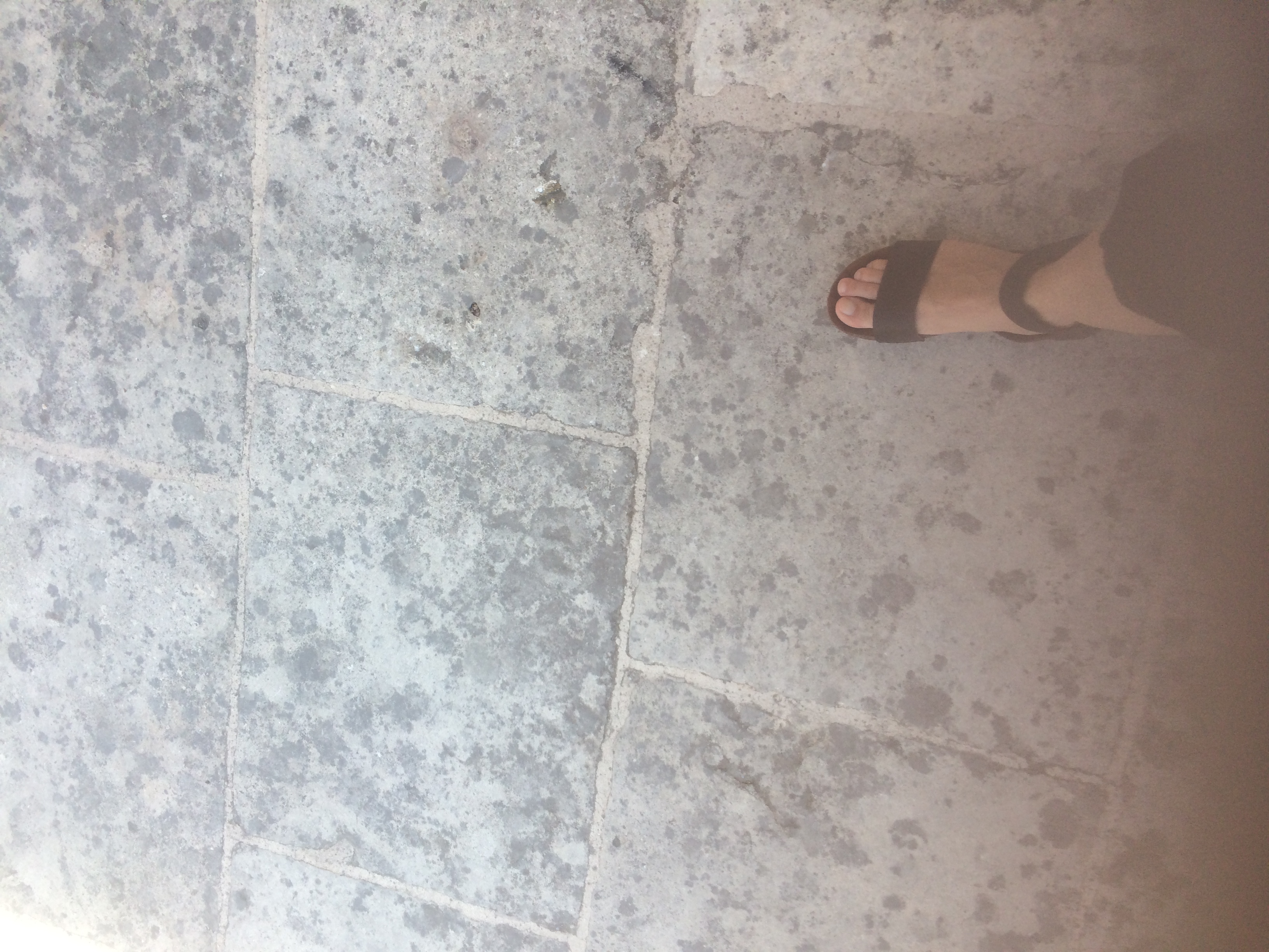 and-Le pied de Van Gogh