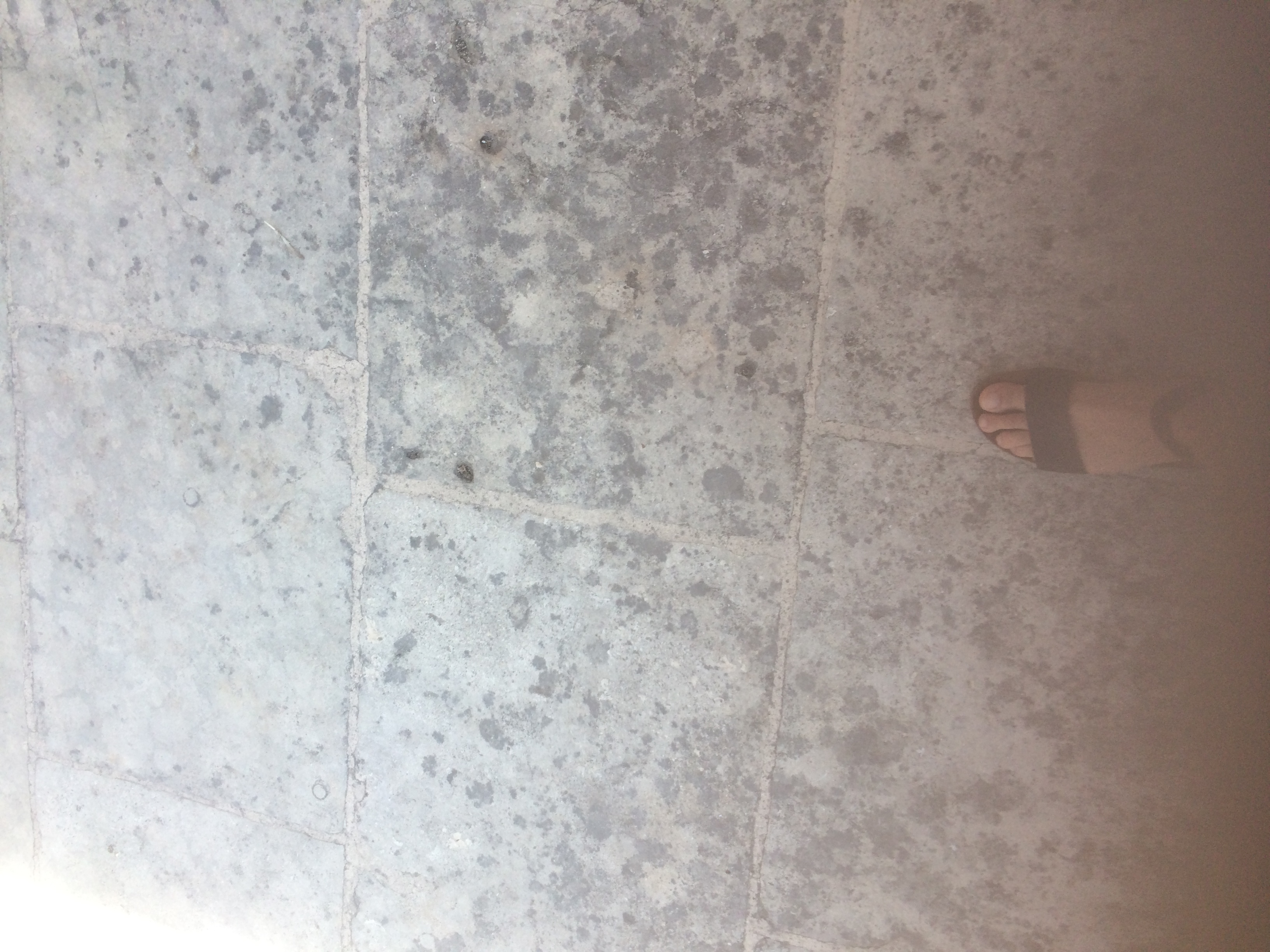 and-Le pied de Van Gogh